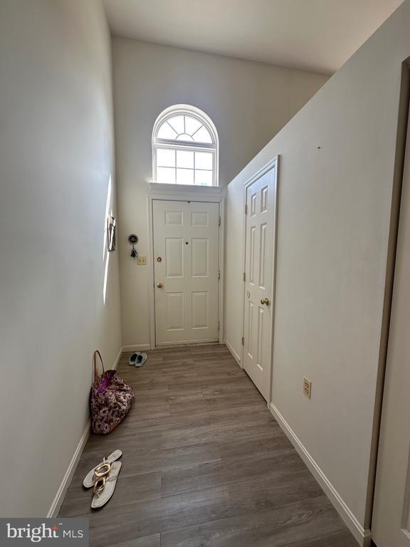 Building Photo - 1114 Pennywort Cir