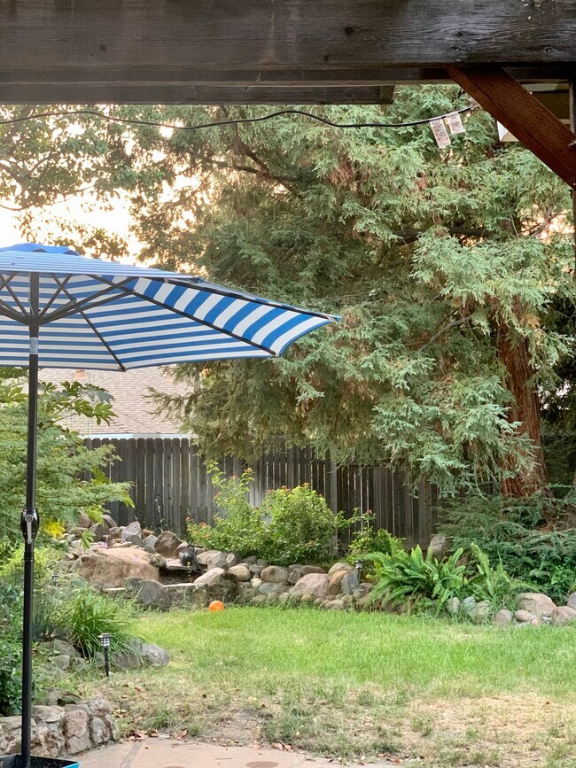 Backyard/ Fountain-pond - 647 Hovey Way