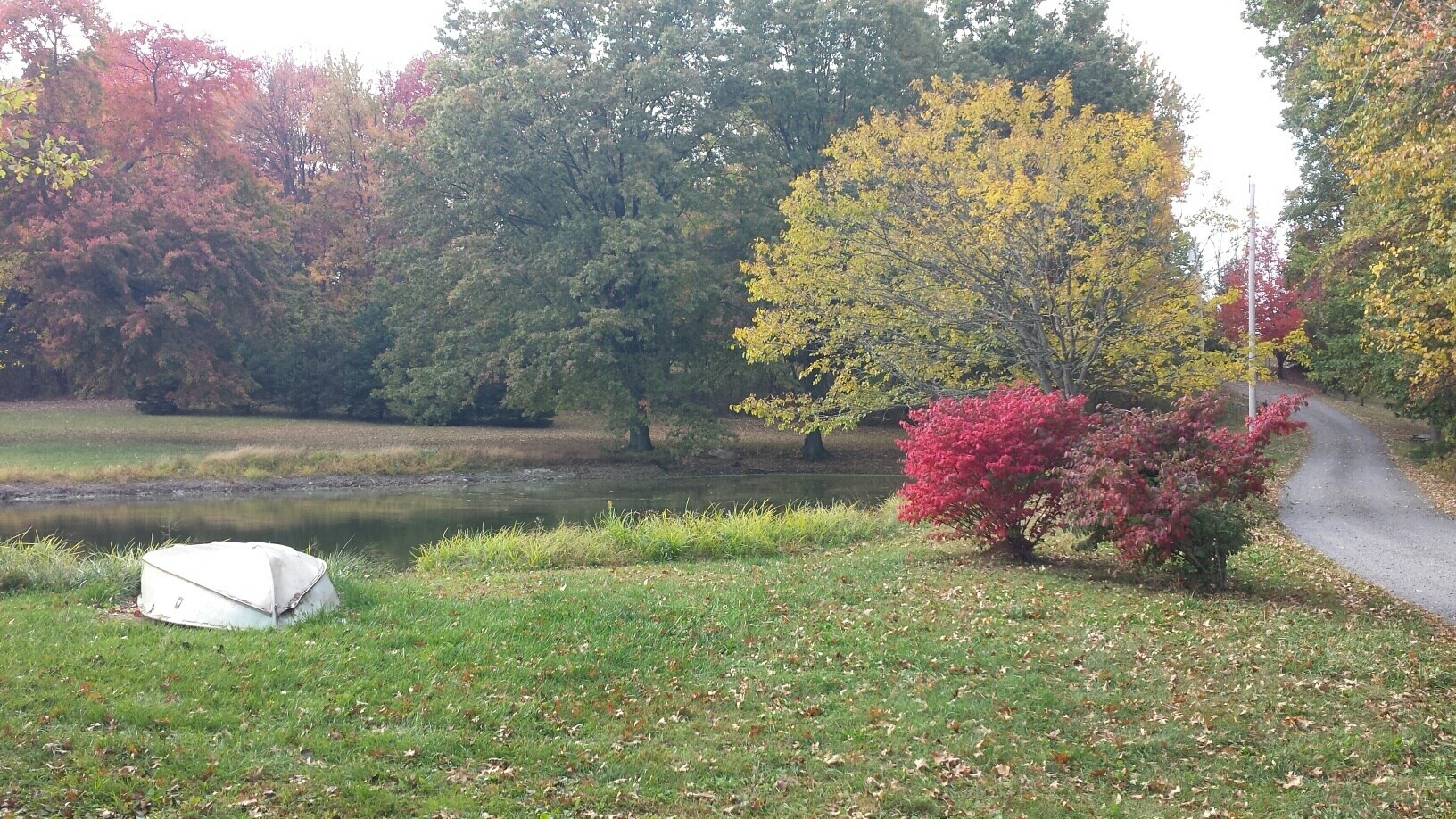 Pond on property - 540 Hoagerburgh Rd