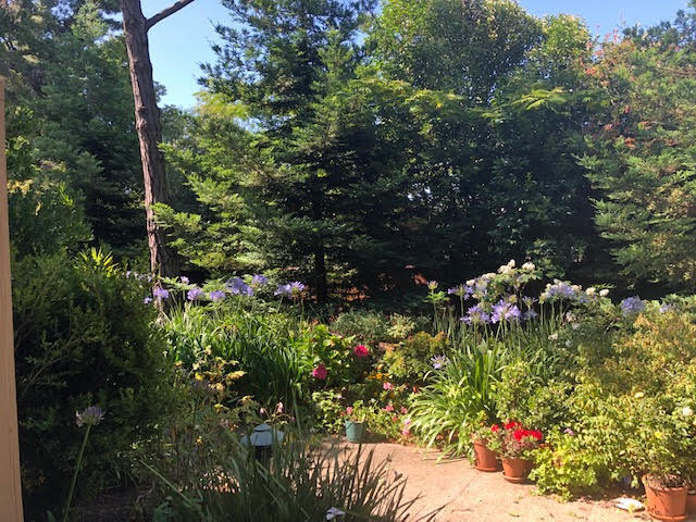 Public Garden - 2450 W Bayshore Rd