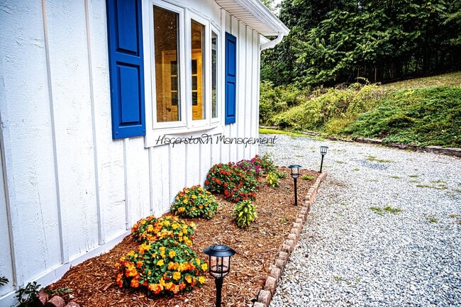 Building Photo - 3 BR Single Family Home In Country Setting