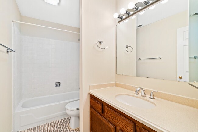 MAIN BATHROOM - 1282 N Streamwood Ln