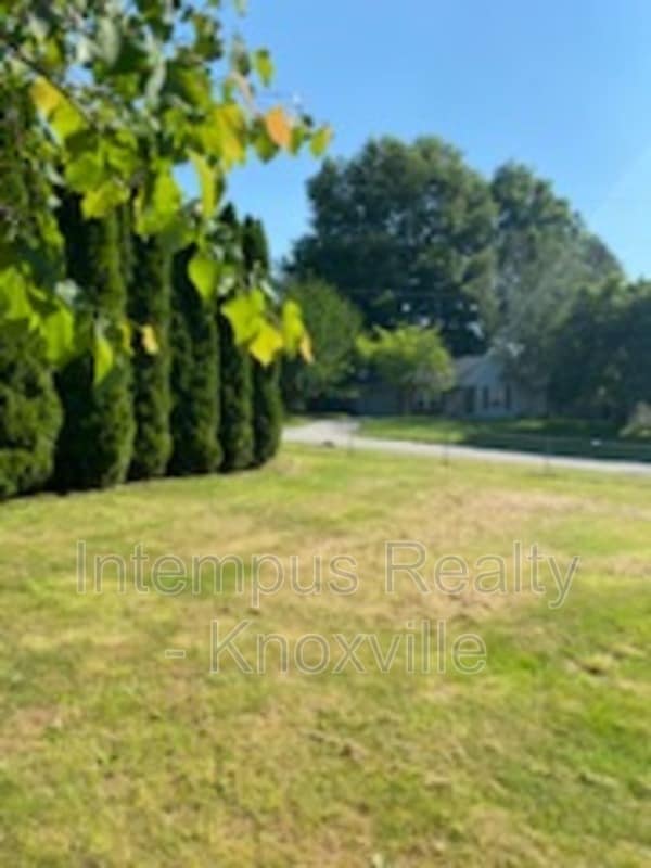 Building Photo - 6517 Bay Cir Dr