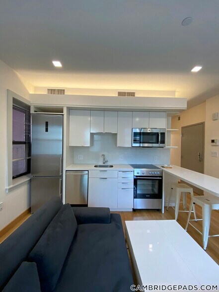 Building Photo - 115 Mt Auburn St