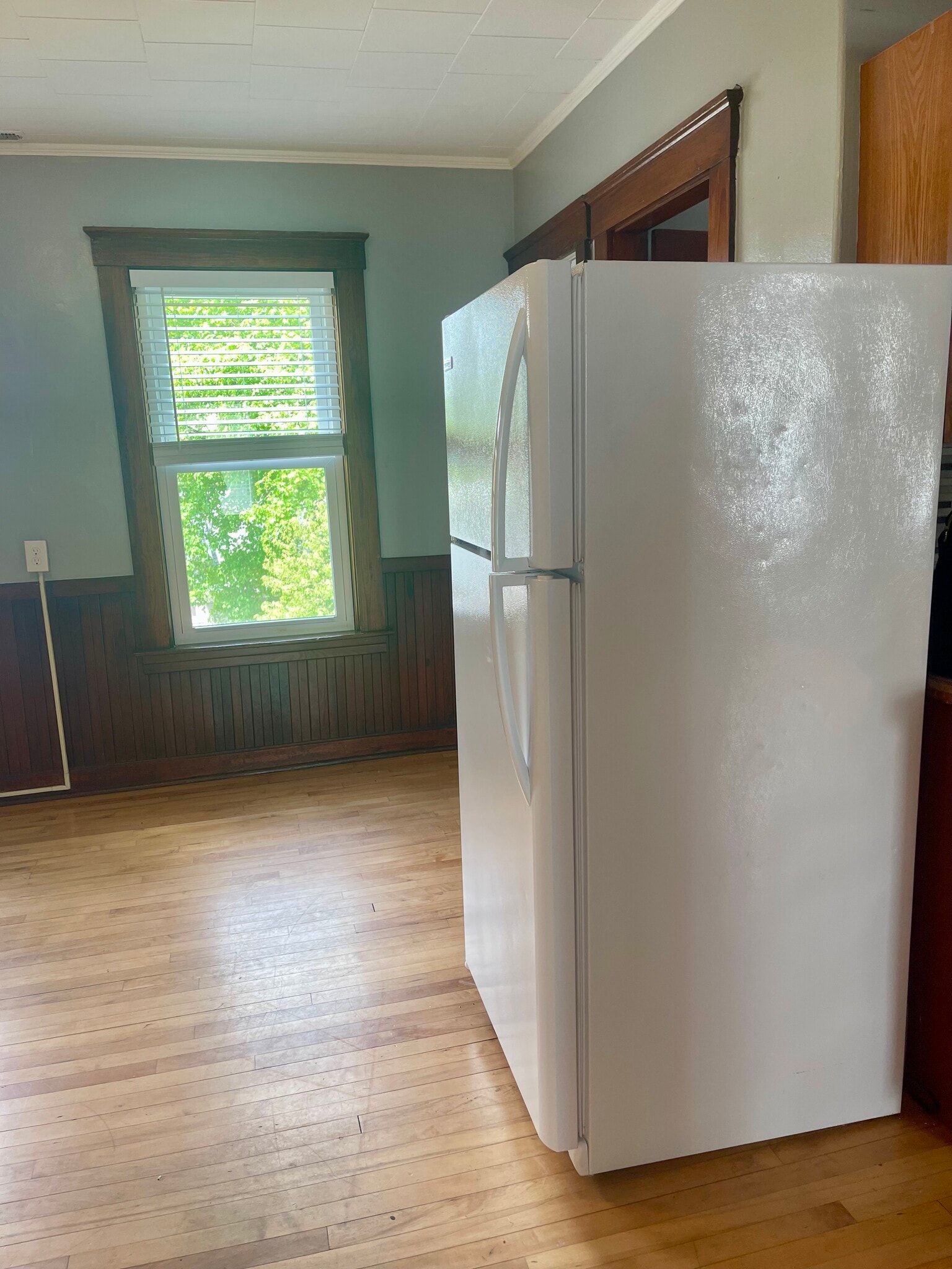 Fridge - 348 Rollstone St