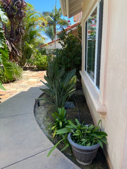 Building Photo - 2995 Calle Gaucho