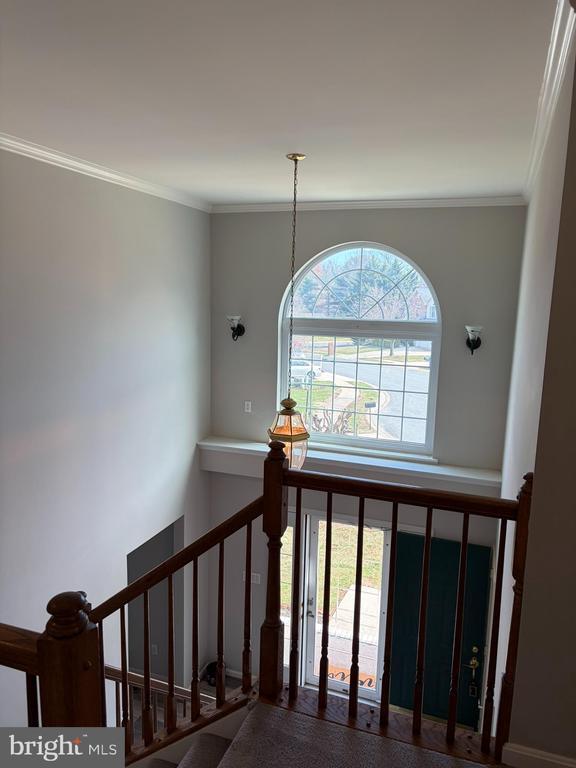 Building Photo - 506 Summervale Ct