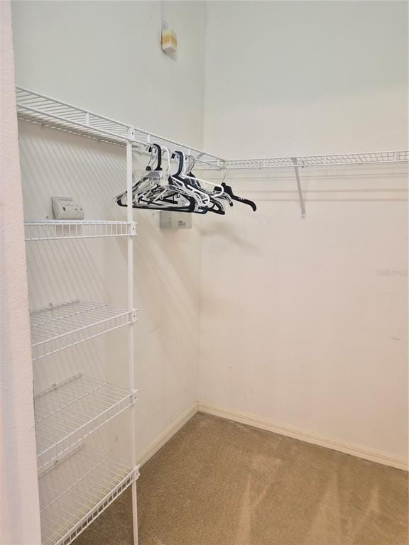 Building Photo - 1814 San Silvestro Dr