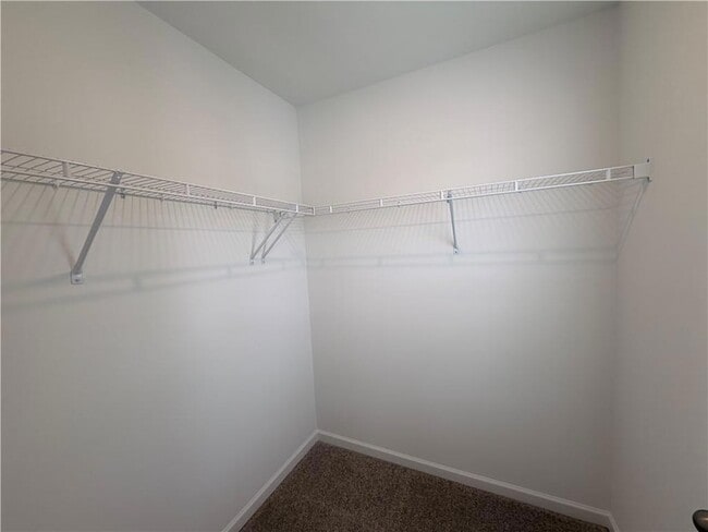 Building Photo - 6719 Armonia Dr