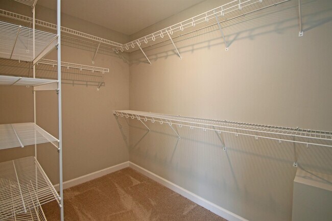Building Photo - 1412 Palomino Trl