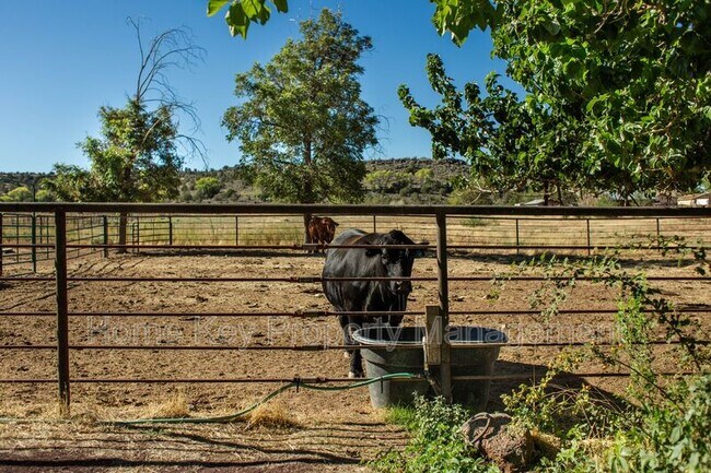 Building Photo - 322 E Veyo Resort Rd