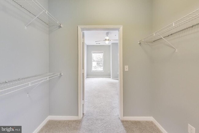 Building Photo - 8045 Newell St