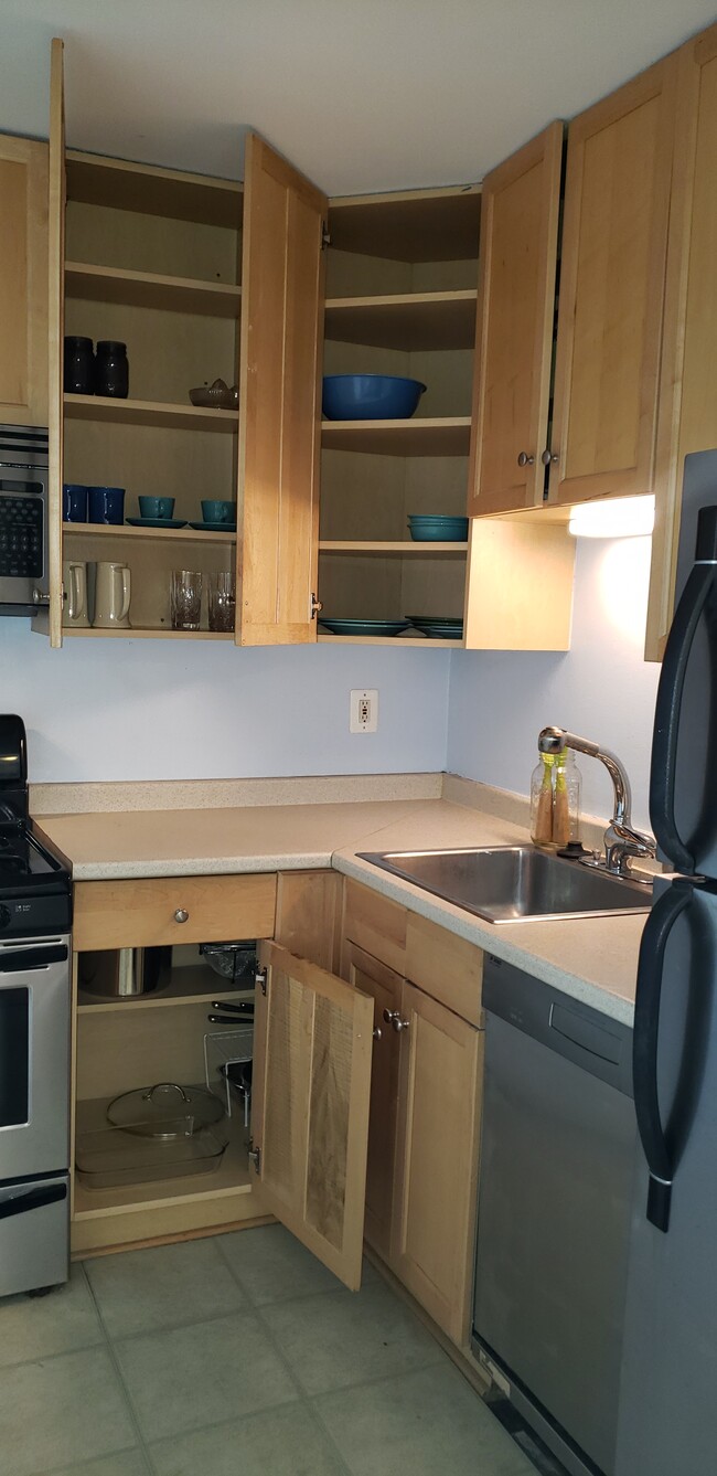 Lots of cabinet space, garbage disposal - 490 M St SW