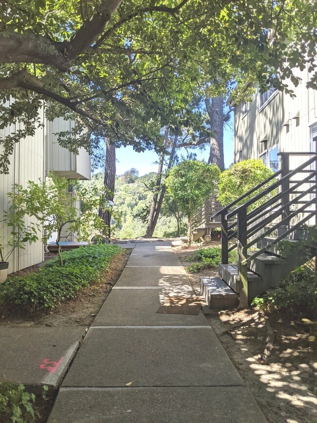 Building Photo - 105 Ascot Ct