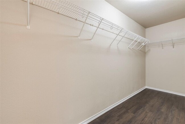 Building Photo - 8712 Dittmar Oaks Dr