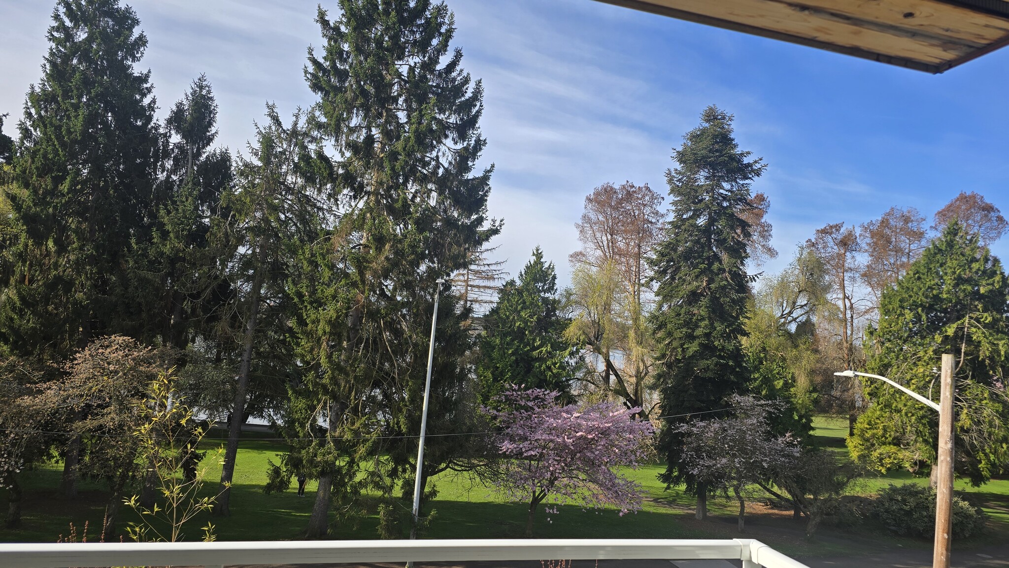 Building Photo - 7440 E Green Lake Dr N