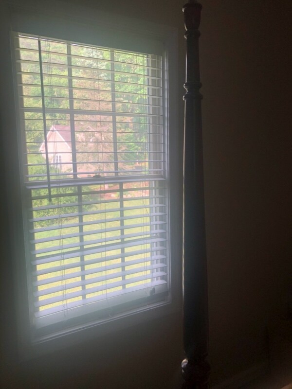 Building Photo - 470 Meadow Ln