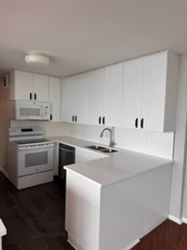 Building Photo - 505 N Lake Shore Dr