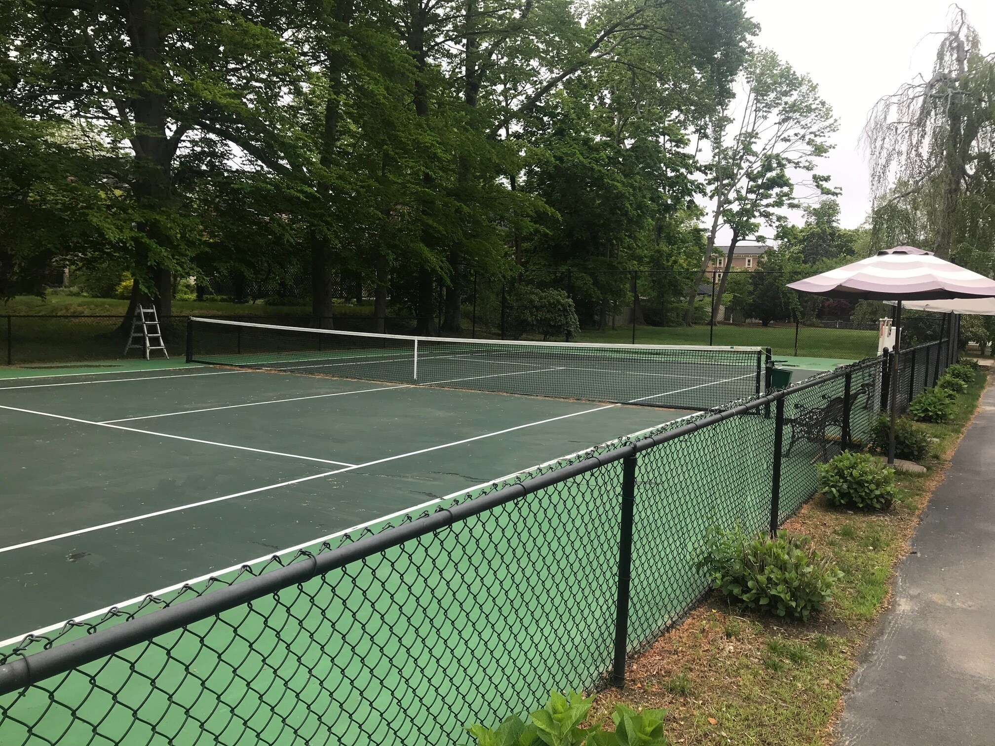 Building Photo - 33 Ward St