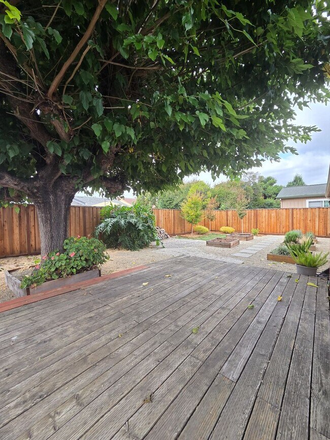Building Photo - 3 bedroom 2 bath East Petaluma