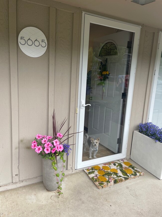 Building Photo - 5665 Wood Duck Cir