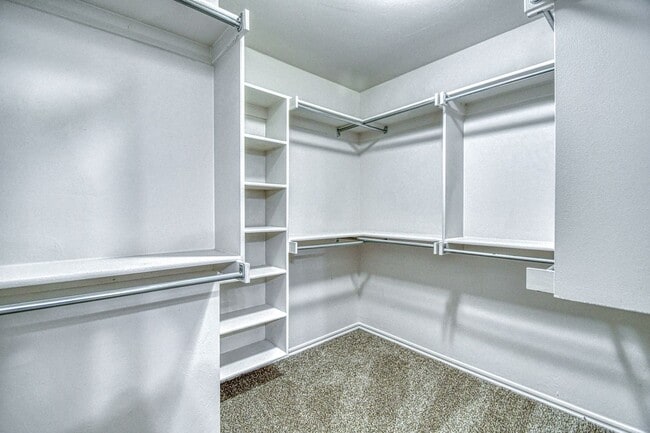 Building Photo - Newly Remodeled Three Bedroom with a Water...