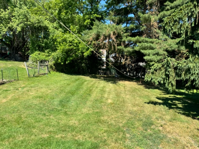 Building Photo - 105 Maher St