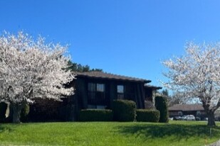 Springtime 3 - Chicopee Mews