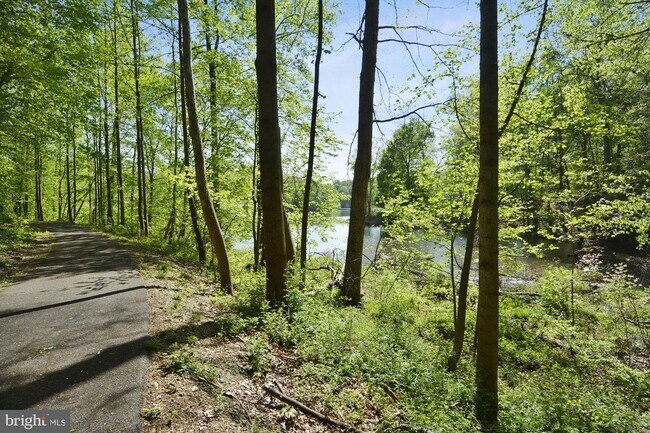 Building Photo - 3 Diamond Hill Ct