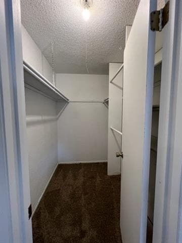 Building Photo - 1681 Chachalaca Ln