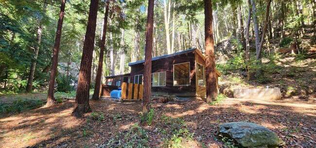 Building Photo - Cabin In the Wood!