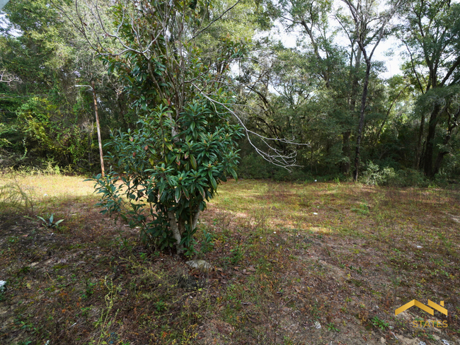Building Photo - 2059 Otis Wallace Ln