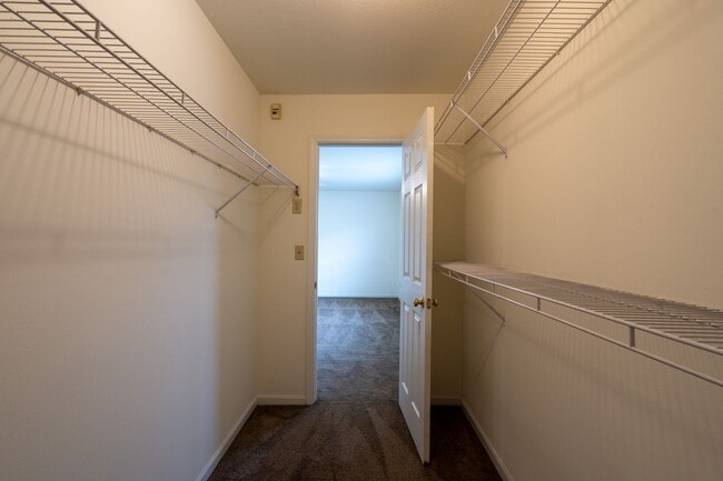 Building Photo - 3507-3509 Delmar Ct.