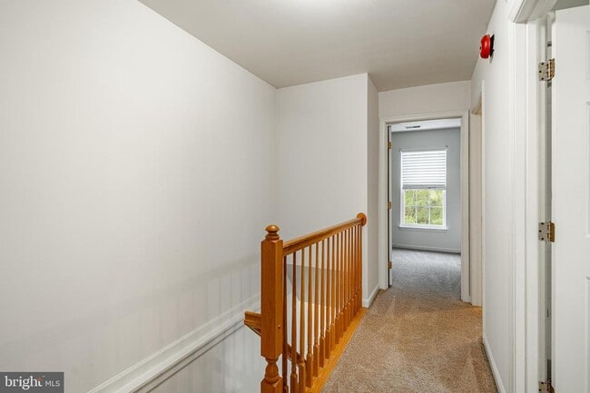 Building Photo - 596 Coach Hill Ct