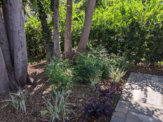 backyard with portion of patio - 7716 Lexington Ave