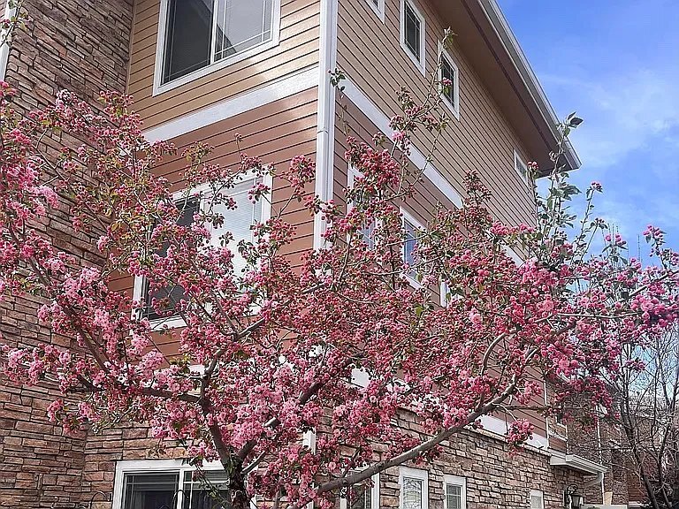 Building Photo - 2803 Kansas Dr