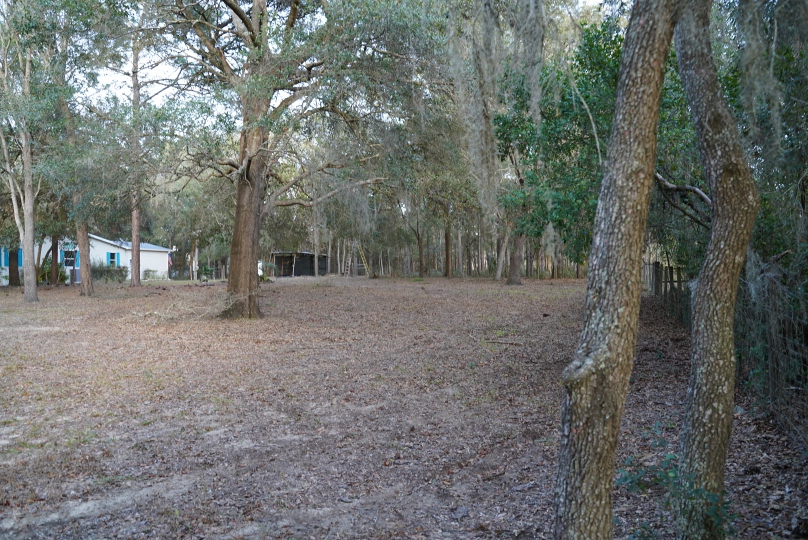 Building Photo - 29205 Saddle Oaks Ln