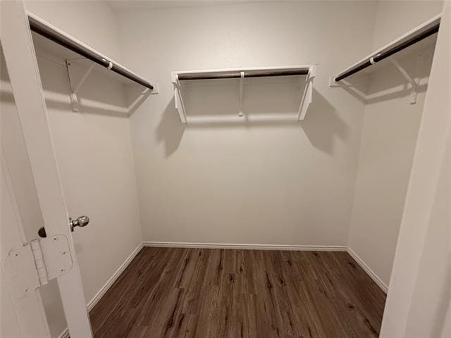 Building Photo - 2833 Highgarden Trl