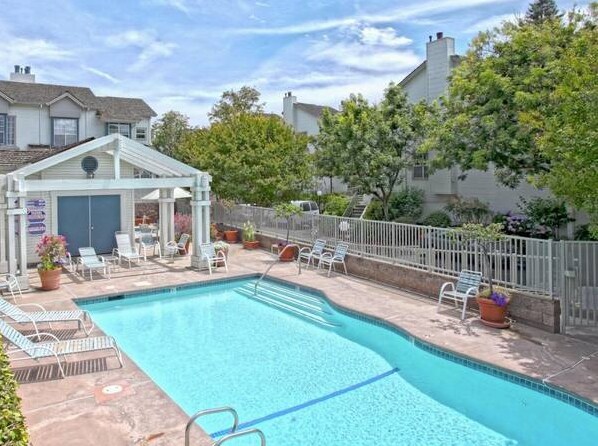 Pool area - 979 Belmont Ter