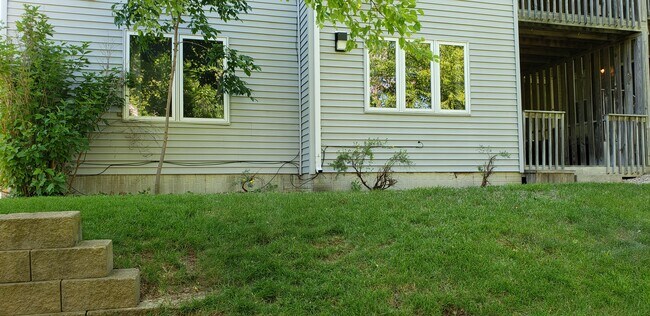 Grassy backyard - 330 Cayman St
