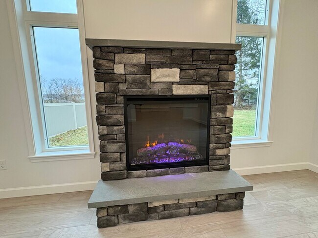 Building Photo - Newly Built 3 Bedroom 1.5 Bathroom Available in Spring Grove!