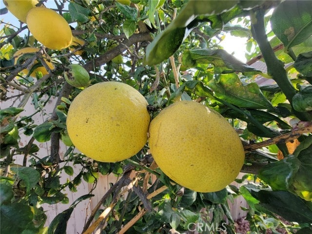 Building Photo - 15375 Manzanita Dr