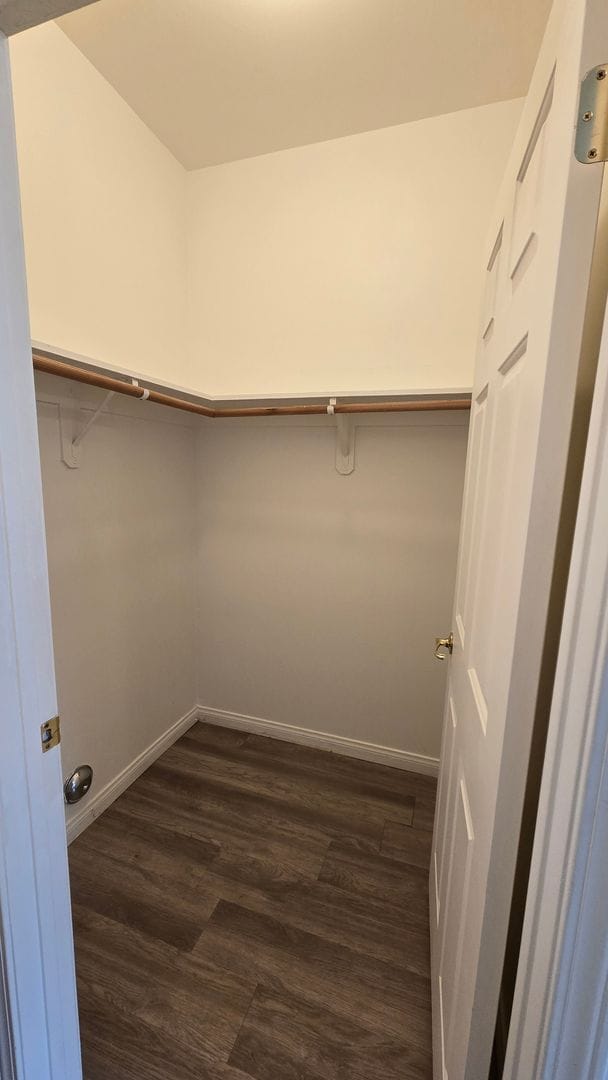 Building Photo - 716 Meadow Grove Ct