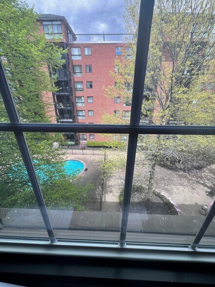 View of pool from windows looking left - 50 Rantoul St