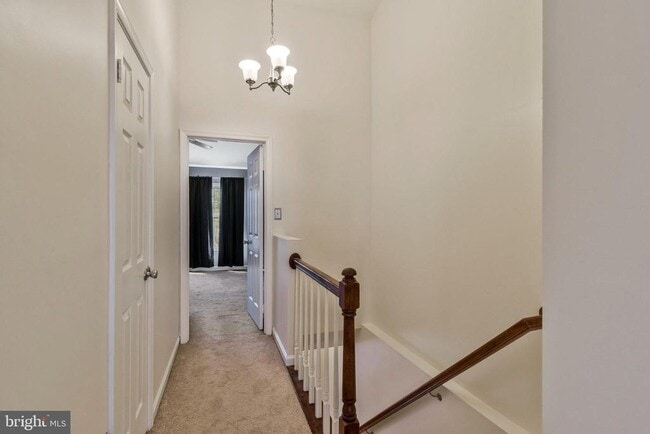 Building Photo - 14706 Bonnet Ter