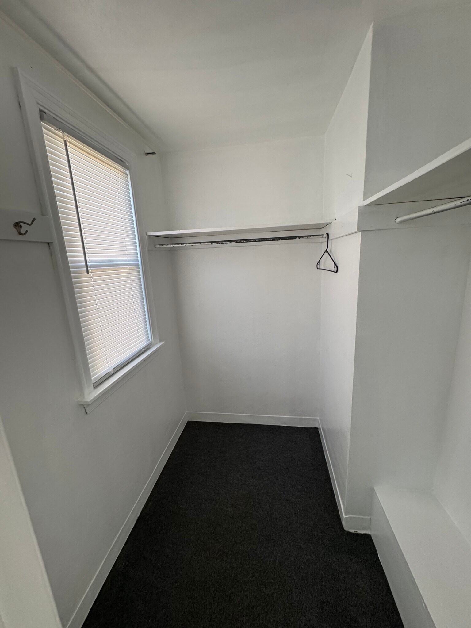 Livingroom closet - 142 Cayuta St