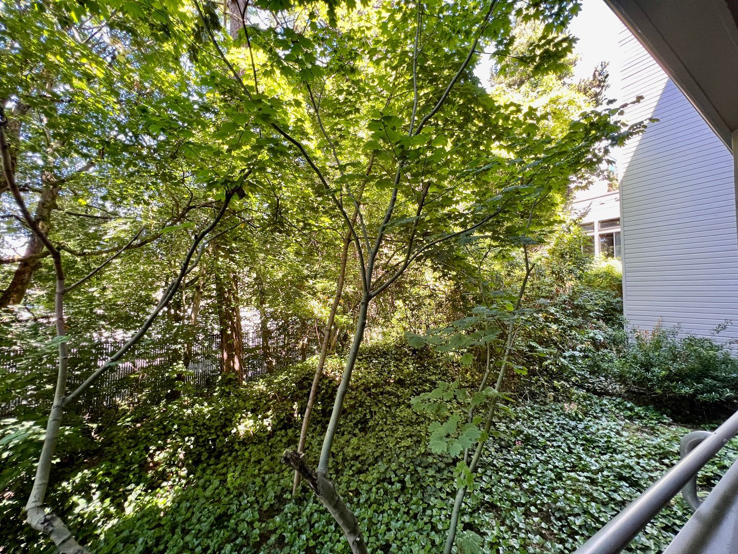 Building Photo - Underground Parking Spot!!!