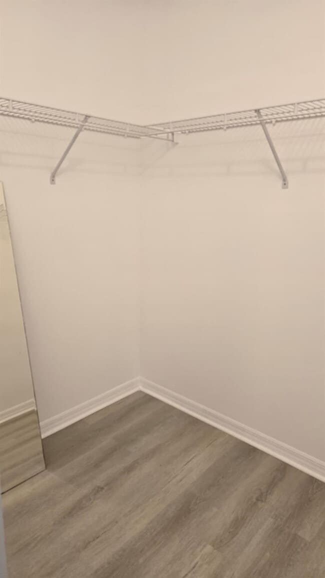 Building Photo - 2213 Salerno Cir