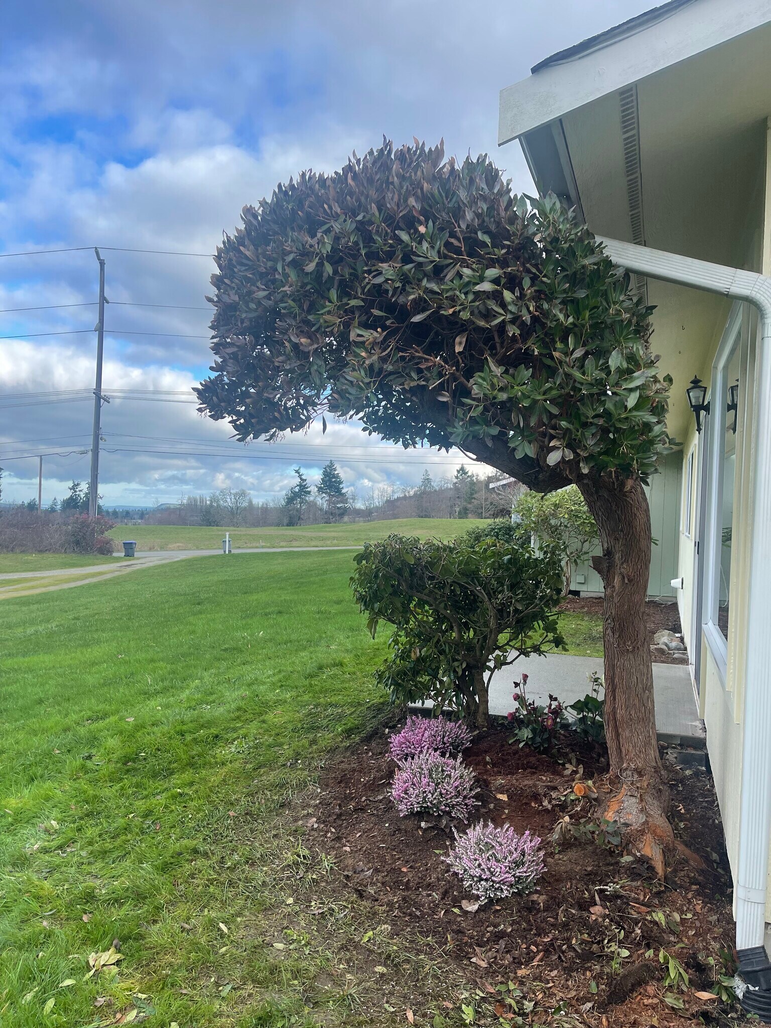 Building Photo - 1045 S 3rd Ave