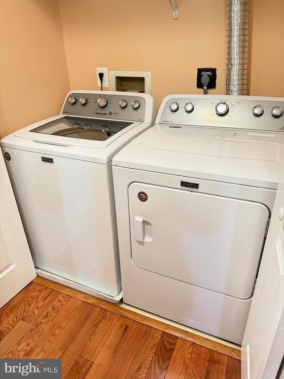 Building Photo - 7212 Tamo Ct